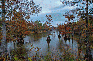 Harrell Lake 2, From ImagesAttr
