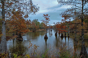 Harrell Lake 2