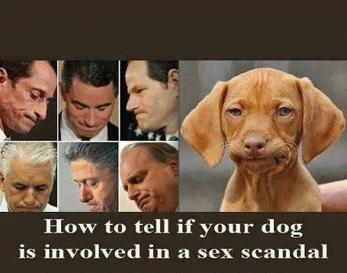 sex scandal