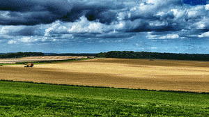 Monoculture Farm, From ImagesAttr