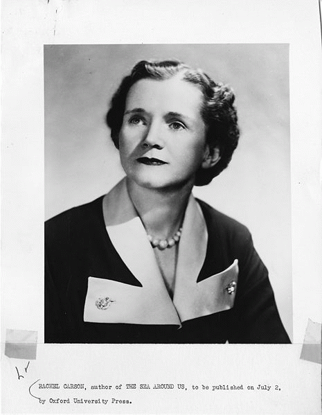 Biologist Rachel Louise Carson (1907-1964).