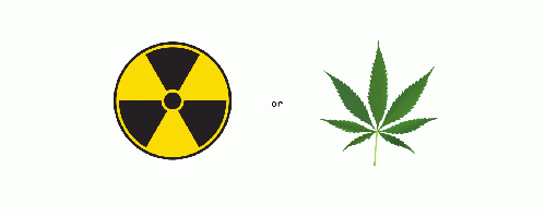 nukes or nugs, now or never