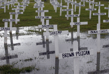 In July, crosses representing what was lost to the Gulf oil spill are planted in a front yard in Grand Isle., From ImagesAttr