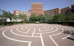 Johns Hopkins Bayview Medical Center Labyrinth
