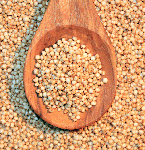 Quinoa-gepufft, From ImagesAttr