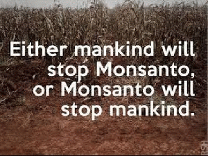 GMO is destroying our health, government, freedoms, and environment.