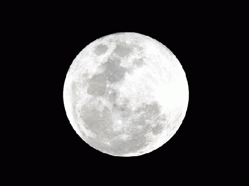Full Moon Watching