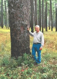 Leon Neel In Greenwood's Big Woods, From ImagesAttr