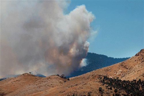 New Wildfire In Sequoia National Forest, From ImagesAttr