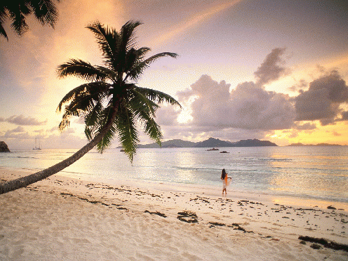Twilight Paradise La Digue Seychelles 1600x1 - Beaches Rivers Oceans Photography, From ImagesAttr
