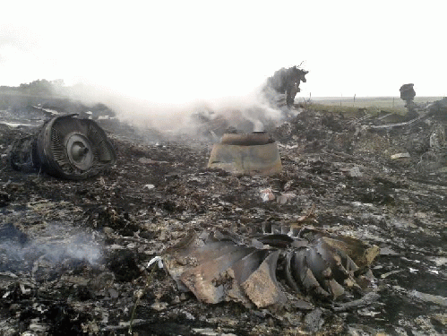 The wreckage of Malaysia Airlines flight MH17, which crashed in eastern Ukraine on Thursday, From ImagesAttr