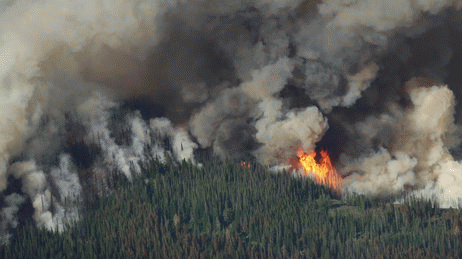Wildfire in Washington State, From ImagesAttr