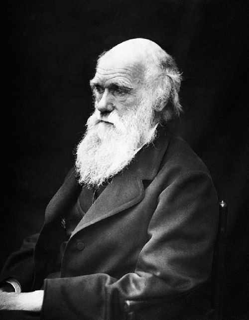 Charles Darwin, From ImagesAttr