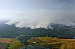 Catastrophic Wildfire Burning in Sweden, From ImagesAttr