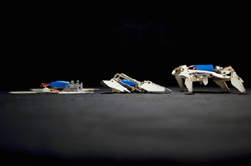 Oragami robots in action., From ImagesAttr