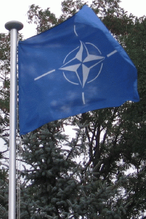 NATO Flag %281%29, From ImagesAttr