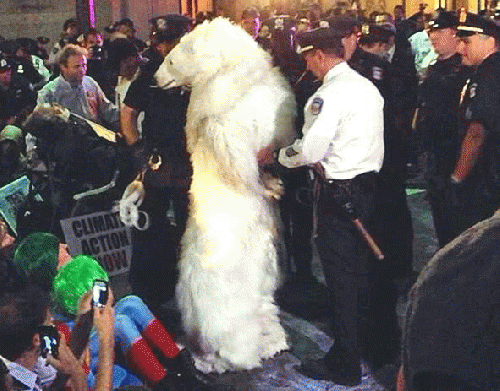 NYPD's Finest arrest a man in a polar bear suit (, From ImagesAttr