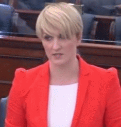 Irish Senator Averil Power speaking in the Senate in Dublin, October 22, 2014