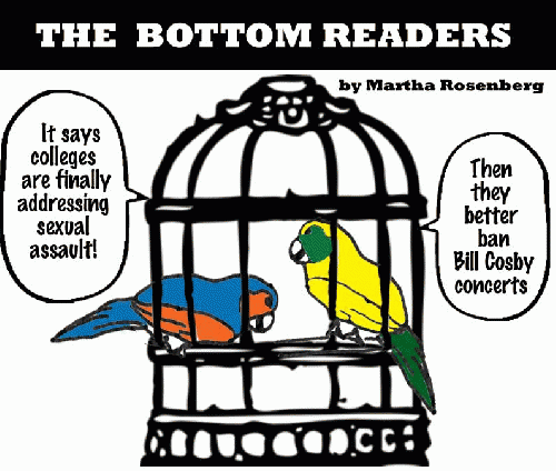 Parrot Pundits Weigh In, From ImagesAttr