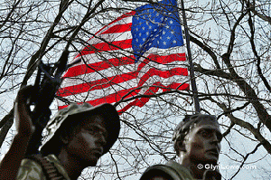 The Vietnam Veterans Memorial Flag