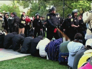 PEPPER SPRAY: UC Davis students 'maced' in Occupy protest Police at the University of California spray sit-down protesters linked with the Occupy movement, attracting international condemnation. Report by Sam Datta-..., From ImagesAttr