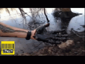 Exxon Mobil tar sands oil spill., From ImagesAttr