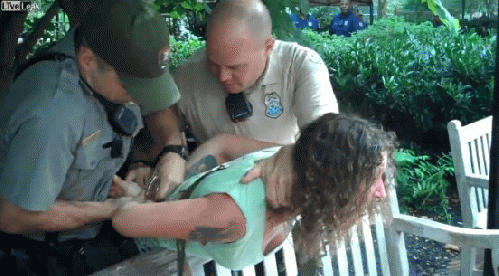 Image of IVAW veteran Emily Yates 'assaulting' Park Police (, From ImagesAttr