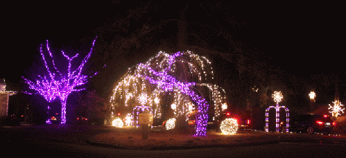 Article Photo Album Holiday Lights At Norfolk Botanical Gardens