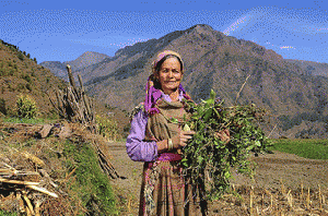 agroecology small farming, From ImagesAttr