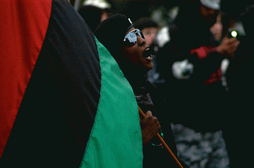 Black Power, From ImagesAttr