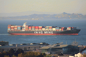 YM Movement, San Francisco Bay, From ImagesAttr
