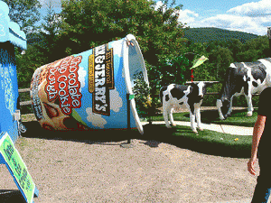 Ben & Jerry's-- an example of a big business with progressive goals and vision.