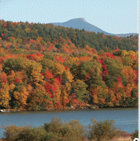 Eastern forests and fall foliage
