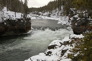 The Yellowstone River saw a deluge of between 40,000-50,000 gallons of oil leaked into it by an antiquated pipeline on Jan. 17.