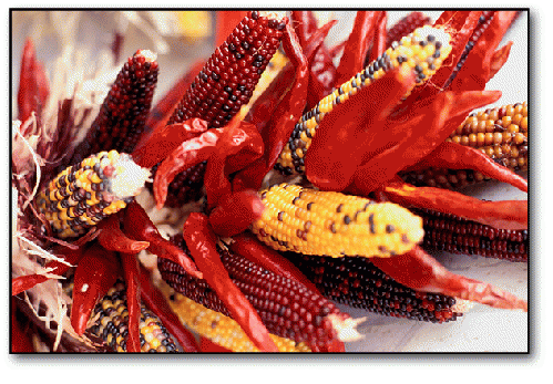 New Mexico Corn and Chilies