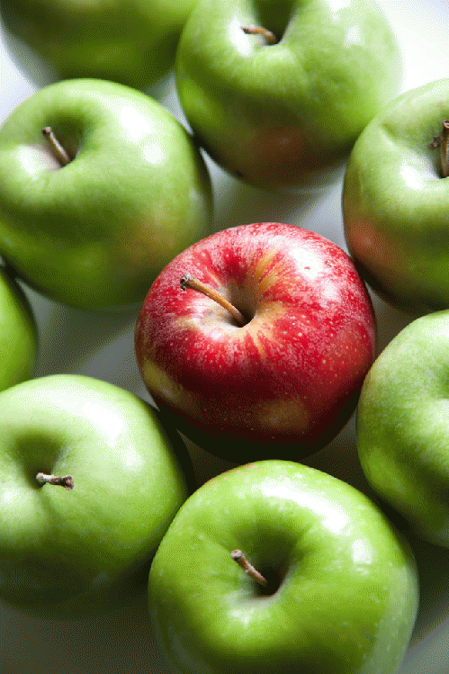 Which apple do you want? When it comes to apple picking, we can be as biased as we like. In evaluating job candidates, we need to learn to recognize our biases and push them to the side., From ImagesAttr