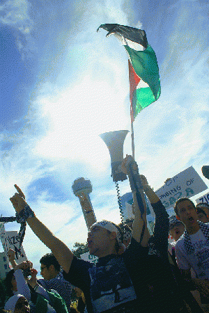 Pro-Palestinian protestors, From ImagesAttr