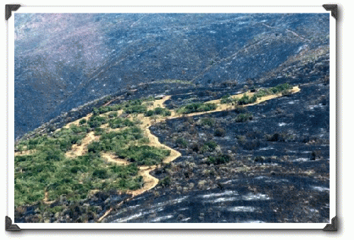 The scorched remains of Ol ari Nyiro