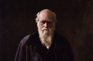 Charles_Robert_Darwin_by_John_Collier-cut-540, From ImagesAttr