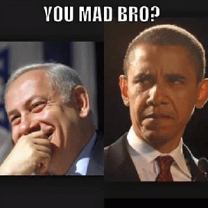 Bibi wins...