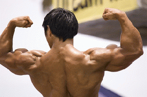 Venice Muscle Beach, From ImagesAttr