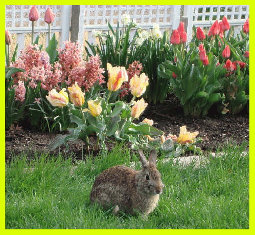 Perfect Spring Portrait photo 2014, From ImagesAttr