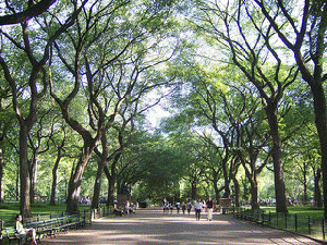 Central Park, From ImagesAttr