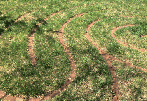 Detail, Northern Virginia labyrinth in summer.