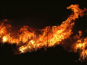 Wild Fire!, From ImagesAttr