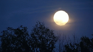 Full moon, From ImagesAttr