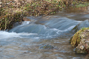 Spring flood, From ImagesAttr