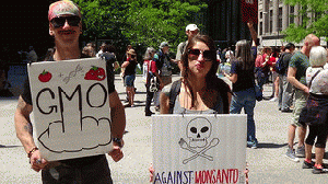 2015 Chicago March Against Monsanto