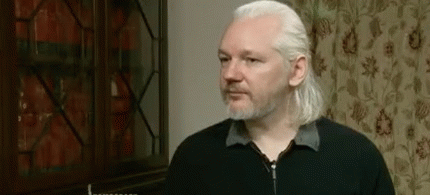 Julian Assange, From ImagesAttr