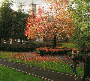 the small liberal arts college